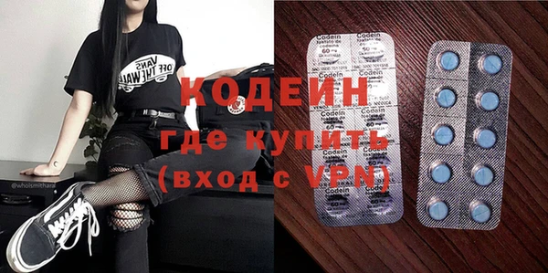индика Пересвет
