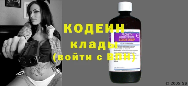 индика Пересвет