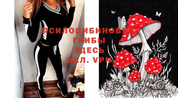 индика Пересвет