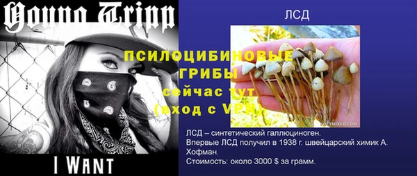 скорость Гатчина