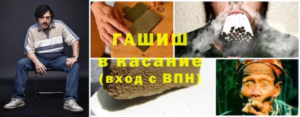 индика Пересвет